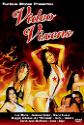 Video Vixens poster