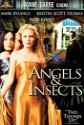 Angels And Insects poster