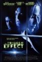 The Trigger Effect Photo and Poster