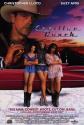 Cadillac Ranch