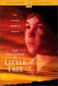 The Education Of Little Tree Photo and Poster
