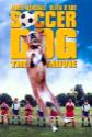 Soccer Dog: The Movie Photo and Poster