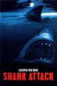 Shark Attack Photo and Poster