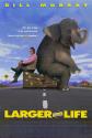 Larger Than Life Photo and Poster