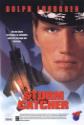 Storm Catcher poster