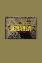 Bonanza: The Return poster