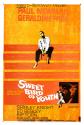 Sweet Bird Of Youth