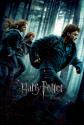Harry Potter And The Deathly Hallows-Part 1 poster