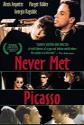 Never Met Picasso