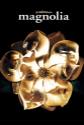 Magnolia Photo and Poster