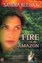 Fire On The Amazon
