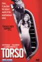 Torso