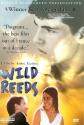Wild Reeds poster