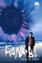Fireworks Photo and Poster
