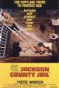 Jackson County Jail poster