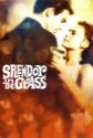 Splendor In The Grass