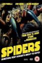 Spiders Photo and Poster