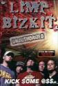 Limp Bizkit: Kick Some Ass poster