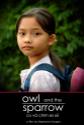 Owl And The Sparrow Photo and Poster