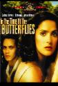 In The Time Of Butterflies