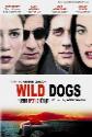 Wild Dogs