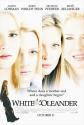 White Oleander Photo and Poster