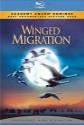 Winged Migration poster