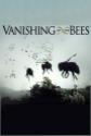 The Vanishing Of The Bees
