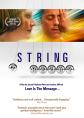 String Theory