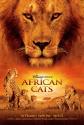 African Cats Photo and Poster