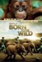 Born To Be Wild 3D