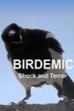Birdemic: Shock And Terror