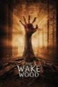 Wake Wood poster