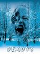 Decoys Photo and Poster