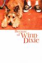 Because Of Winn-Dixie Photo and Poster