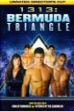 1313: Bermuda Triangle