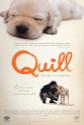 Quill: The Life Of A Guide Dog