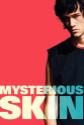 Mysterious Skin poster