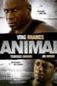 Animal Photo and Poster