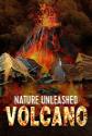 The Volcano Disaster