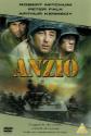 Anzio Photo and Poster