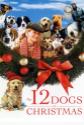 The 12 Dogs Of Christmas
