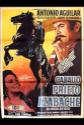 Caballo Prieto Azabache