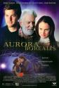 Aurora Borealis Photo and Poster
