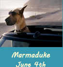 Marmaduke trailer