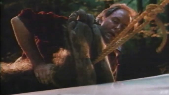 Harry And The Hendersons