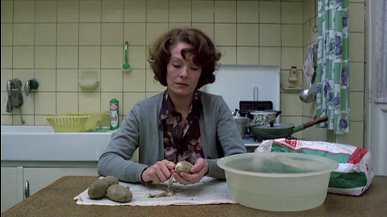 I Don't Belong Anywhere: The Cinema Of Chantal Akerman (US)