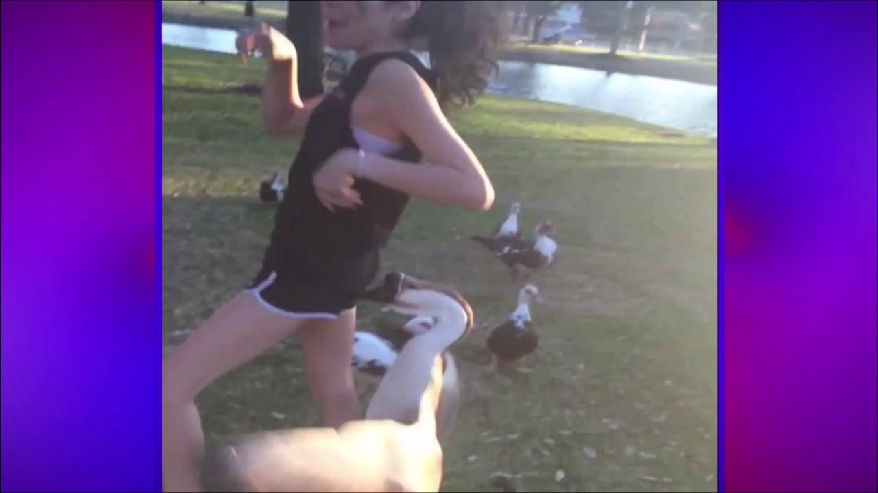 America's Funniest Home Videos: Potpourri