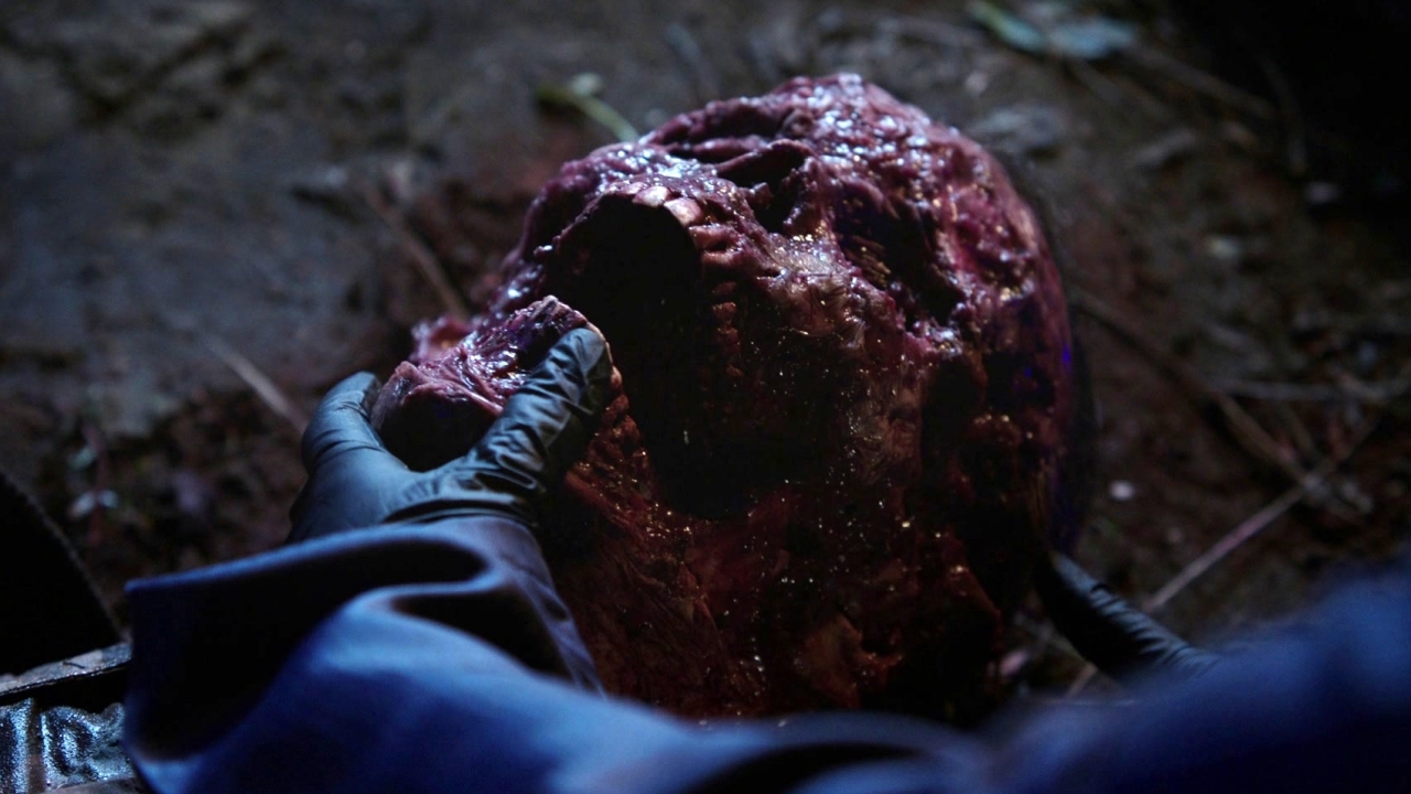 Bones: The Doom In The Boom