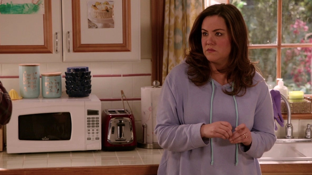 American Housewife: Reasons